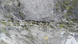 acastle
                          105290.jpg